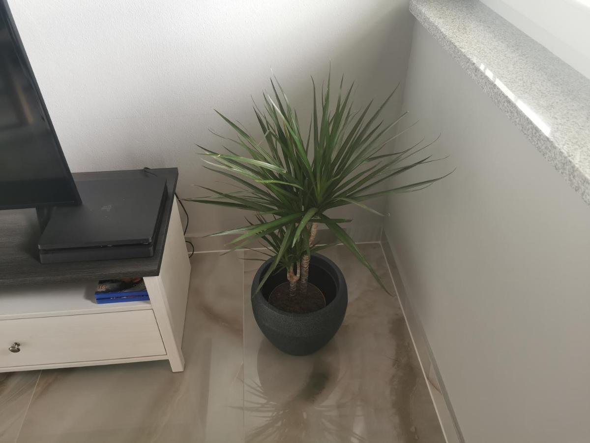 Apartment Luki بوفايل المظهر الخارجي الصورة